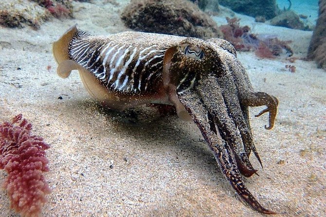 Try Scuba Diving with 2 Ocean Dives - Arriving at Aquatis Diving Lanzarote, and what the 8:30 start means