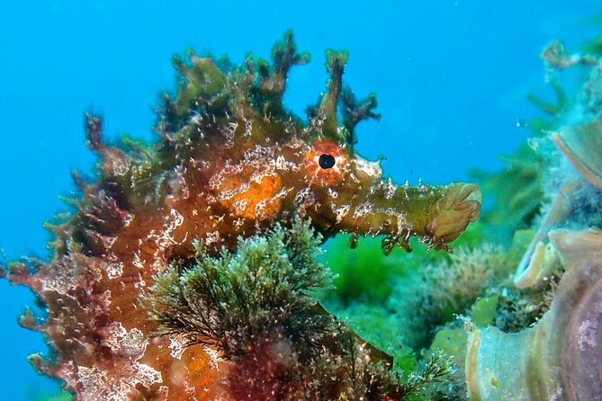 Try Scuba Diving with 2 Ocean Dives - Transport and timing: how to plan your morning without stress