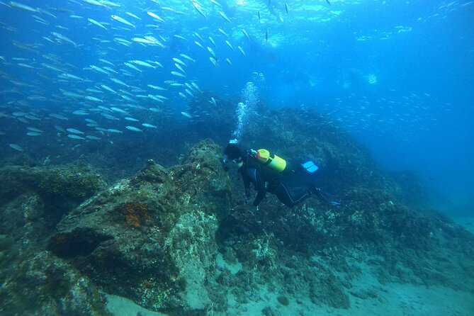 Try Scuba Diving with 2 Ocean Dives - Playa Chica Beach as the learning stage