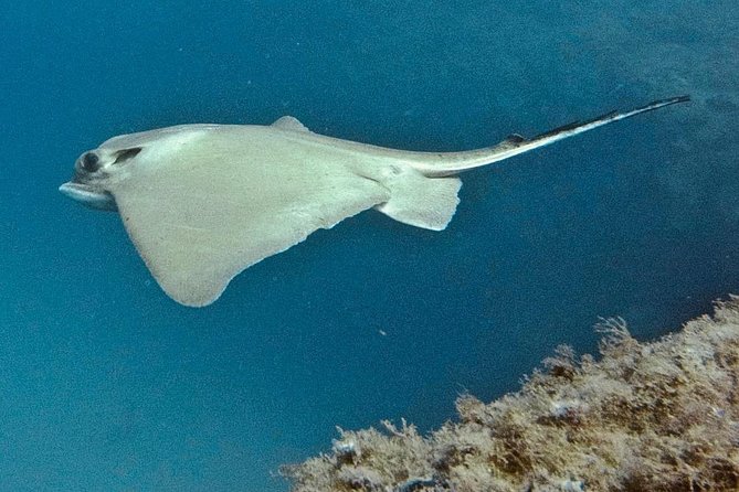 TRY SCUBA DIVING with a Dedicated Instructor - Weather realities, what to do with them, and what to bring