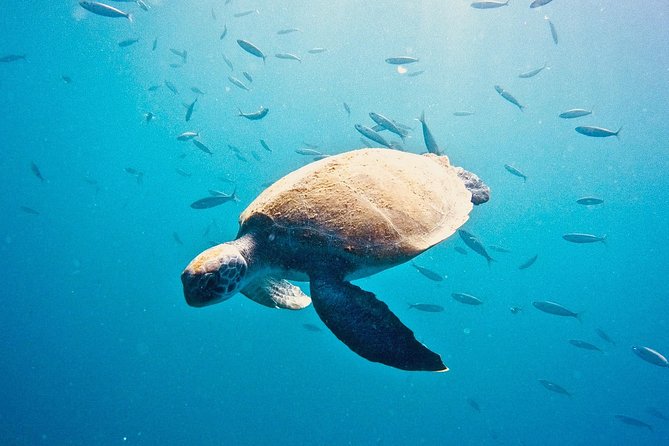 TRY SCUBA DIVING with a Dedicated Instructor - Your briefing and comfort time at the 140 m2 center