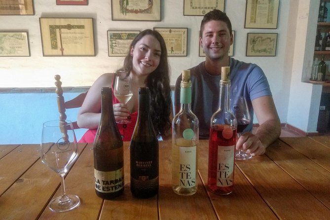 Two wineries tour with wine tasting - Stop 2: comparing a contrasting estate, often from caves to vineyards