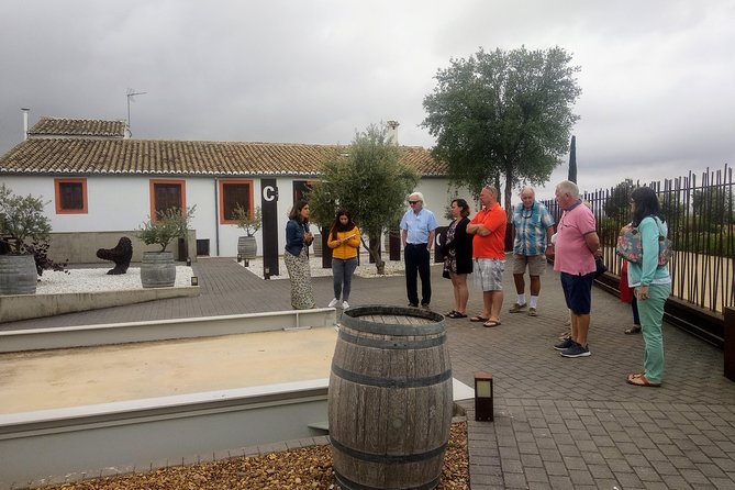 Two wineries tour with wine tasting - Who should book this two-winery Utiel-Requena tour