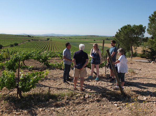 Two wineries tour with wine tasting - Practical tips before you go (based on what the tour demands)