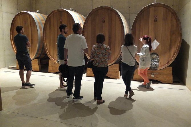 Two wineries tour with wine tasting - Stop 1: your first Utiel-Requena winery experience