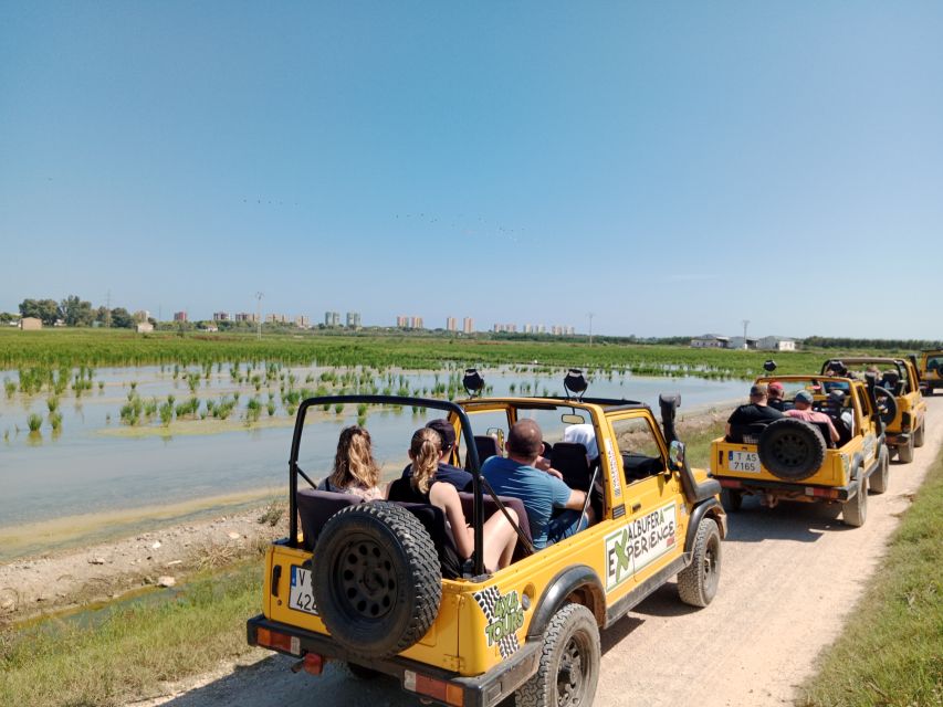 Valencia: Albufera Jeep and Boat Tour - Should you book this Valencia Albufera Jeep and Boat tour?