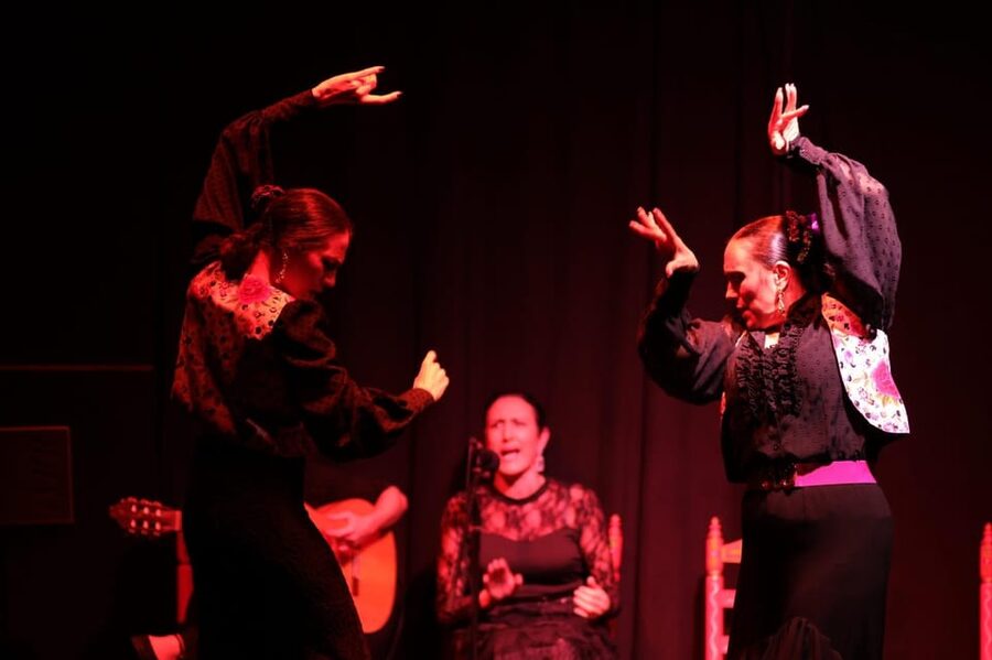 Valencia: Authentic Flamenco Show Entry Ticket - Value at About $23: What You Get for the Price