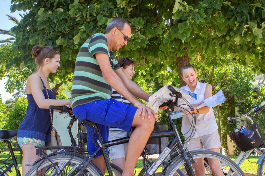 Valencia Bike Tour - Price and value: why $44 for 3 hours makes sense here