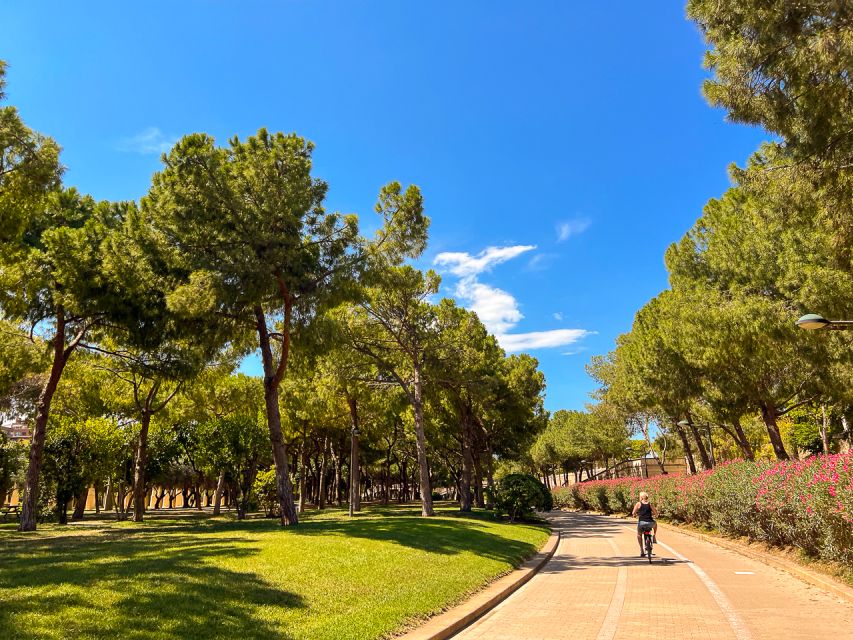 Valencia Bike Tours: City Highlights - Neighborhood Energy, Markets, and the Eating Tips That Pay Off