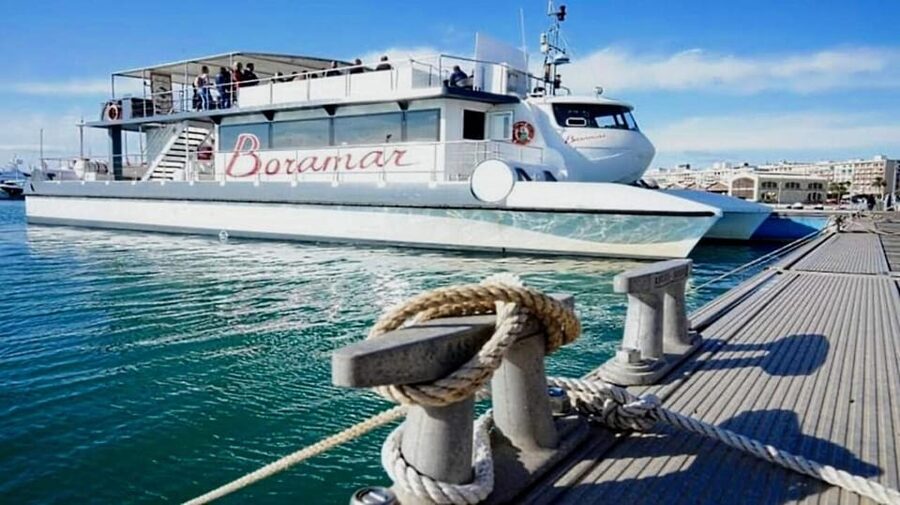 Valencia: Catamaran Cruise with Stop for Swimming - Key things to know before you go