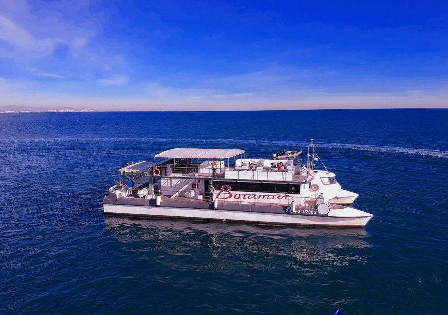 Valencia: Catamaran Cruise with Stop for Swimming - From La Marina Clock Building to the open water