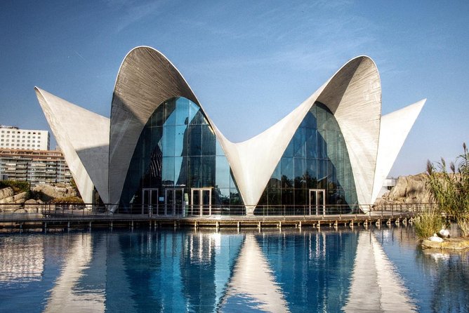 Valencia City Excursion - From Albir, Benidorm & Calpe - Optional Extras: Oceanogràfic and Mestalla Stadium