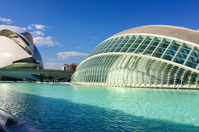 Valencia City Excursion - From Albir, Benidorm & Calpe - The Guides and Tour Manager Touch: What Made This Feel Well Run