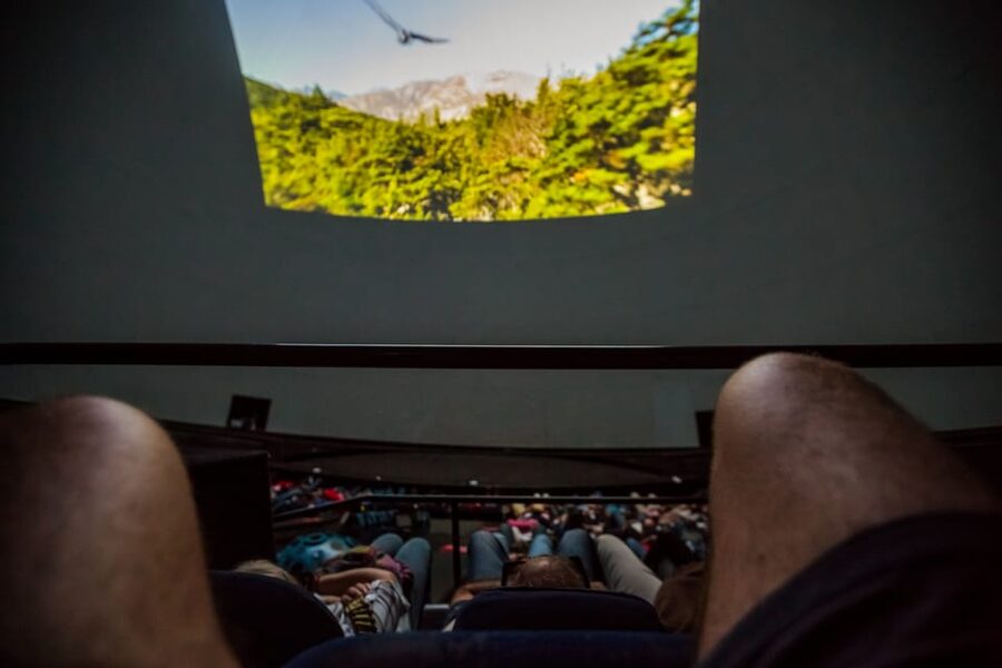 Valencia: City of Arts and Science 3D Movie at Hemisfèric - Practical tips so your visit goes smoothly