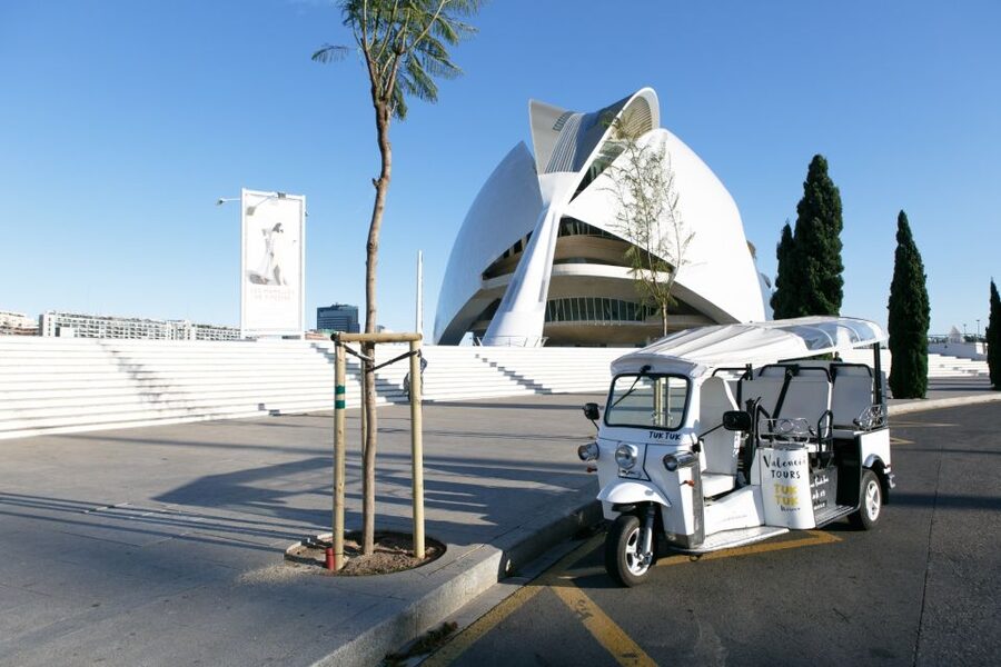 Valencia: Complete Tuk-Tuk Tour Around the City - Stops, timing, and hearing the guide in an open vehicle