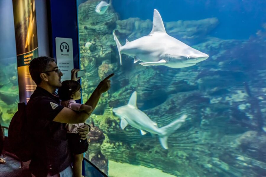 Valencia: Oceanogràfic Entry Ticket - Key things that make Oceanogràfic worth your time