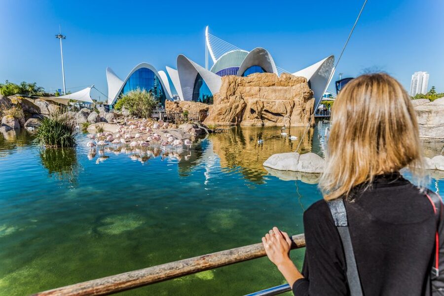 Valencia: Oceanogràfic Entry Ticket - Is $44 good value for Oceanogràfic?