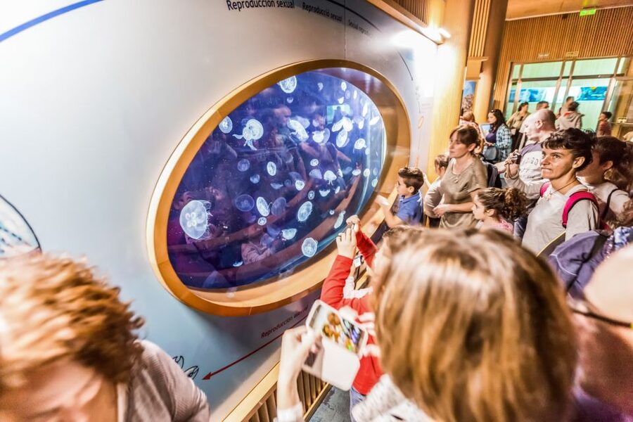 Valencia: Oceanogràfic Entry Ticket - Breaks, the underwater restaurant, and staying comfortable
