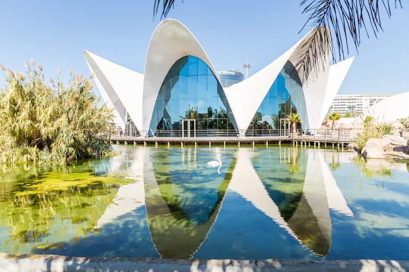 Valencia: Oceanogràfic, Hemisfèric & Science Museum Combo - Final Call: Should You Book This Valencia Science Combo?
