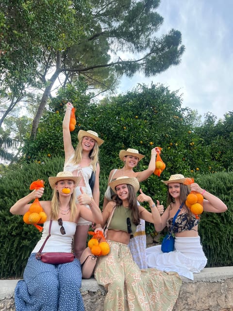 Valencia: Orange Farm and Orchard Trip with Tastings - Key highlights from this Huerto Ribera orange farm tour