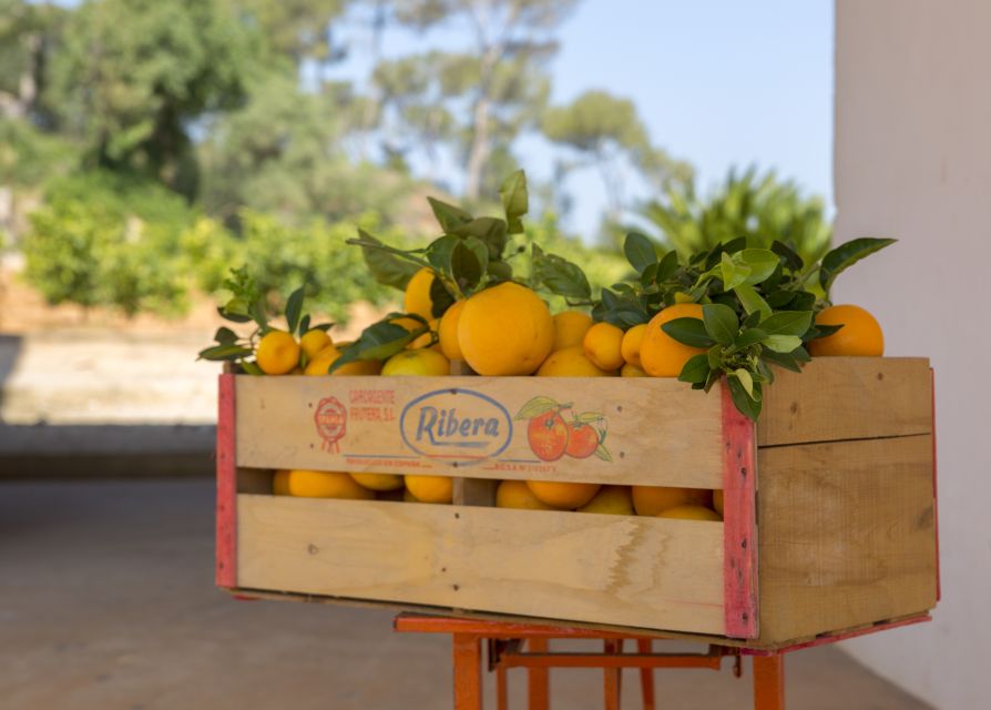 Valencia: Orange Farm and Orchard Trip with Tastings - Should you book Huerto Ribera? A straightforward call