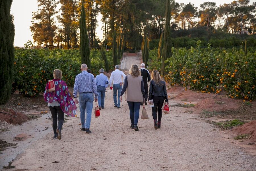 Valencia: Orange Farm and Orchard Trip with Tastings - Huerto Ribera in Carcaixent, the orange cradle near Valencia