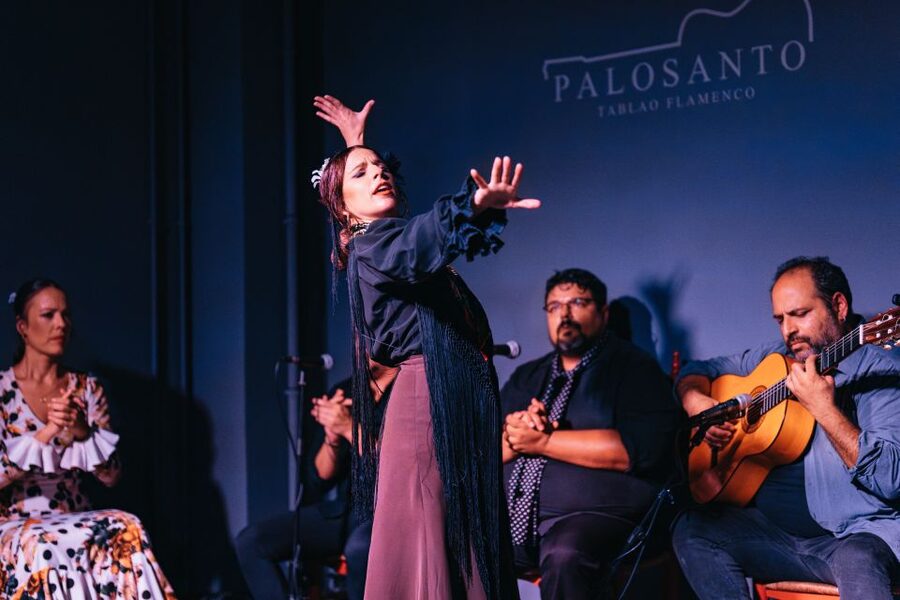 Valencia: Palosanto Flamenco Show Ticket - Photography, Noise, and House Rules That Actually Affect You