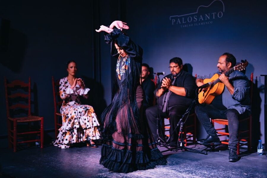 Valencia: Palosanto Flamenco Show Ticket - Who This Show Suits Best in Valencia (and Who Might Prefer Another Option)