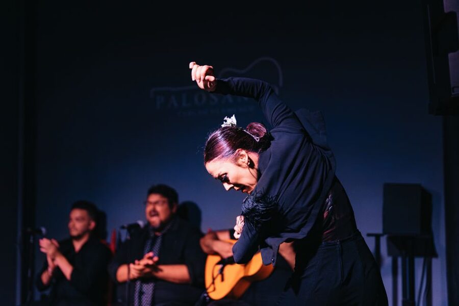 Valencia: Palosanto Flamenco Show Ticket - Ticket Value: What $25 Buys You (and What It Does Not)