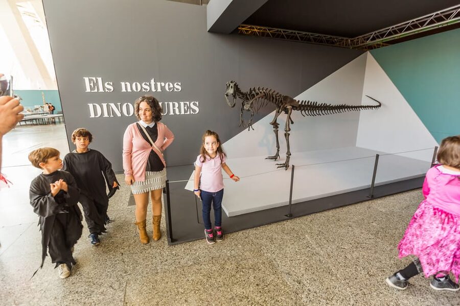 Valencia: Principe Felipe Science Museum Entry Ticket - Who this ticket is best for, and who should think twice