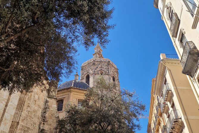 Valencia Private Walking Tour with Official Valencian Guide - Private walking tour energy in Valencia’s historic core