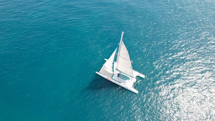 Valencia: Sailing Catamaran Cruise with Valencian Lunch - Lunch On Board: Valencian Paella, Salad, Bread, Fruit, and One Drink