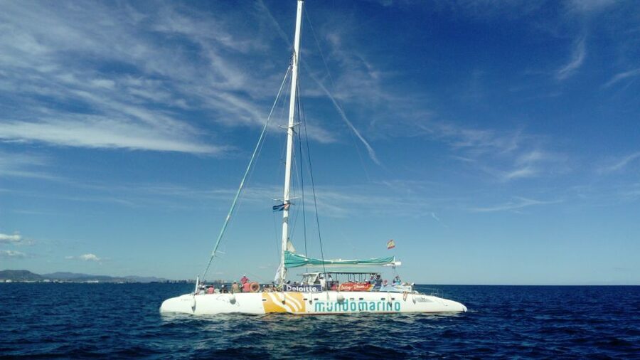 Valencia: Sailing Catamaran Cruise with Valencian Lunch - Who This Valencia Catamaran Cruise Suits Best