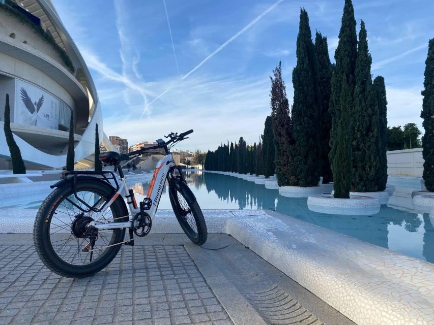 Valencia: Top 25 Highlights Guided Bike Tour - Russafa Streets: Street Art, Bars, and a Neighborhood You Can Taste