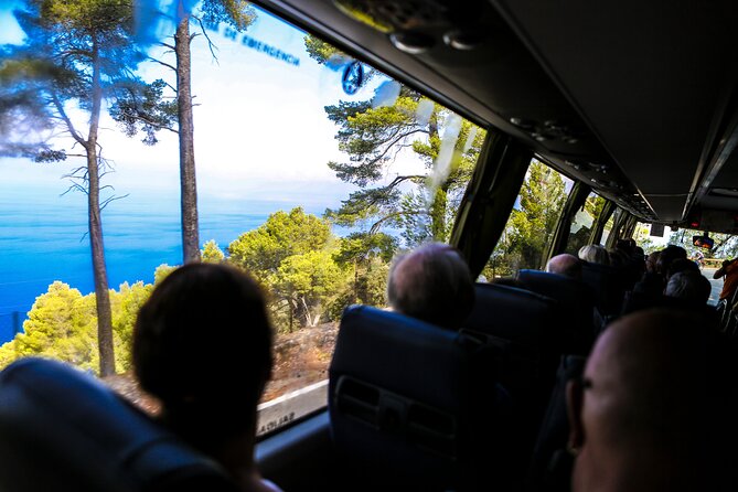 Valldemosa and Valley of Soller Tour in Mallorca - Price and Comfort: What $59.28 Really Covers
