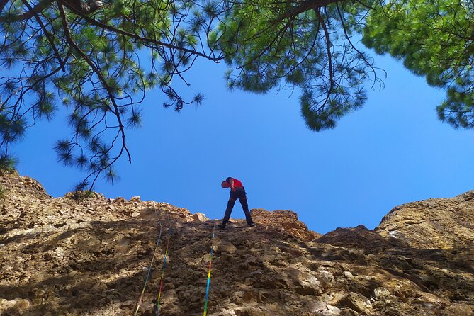 Via Ferrata in Gran Canaria. Vertical adventure park. Small groups - Obstacles you’ll likely remember: bridge, swing, tunnel