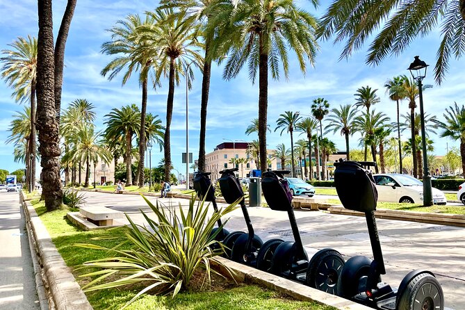 VIP Private Segway Tour of Palma - La Lonja de Palma and Sa Llotja: Gothic Architecture Power