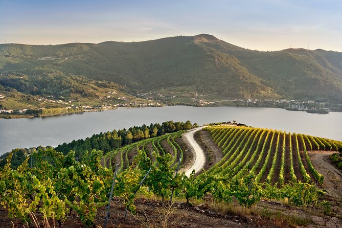 Visit Coastal Vineyard - Quick hits before you go