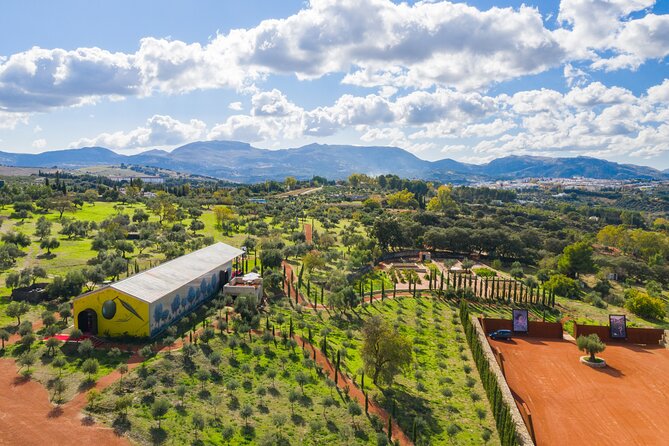 Visit Oil Mill Museum and Olive Oil Tasting in Ronda - Key highlights to look for