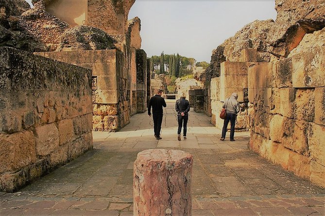 Visit to Italica Roman Ruins Tour tickets included - Where the Tour Starts: The Av. Extremadura Meeting Point