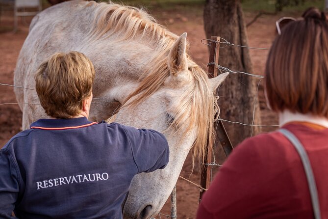Visita Entre Toros y Caballos - What makes Reservatauro Ronda special, beyond the animal photos
