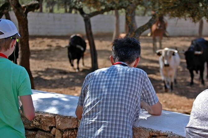 Visita Entre Toros y Caballos - The bullfighting practice ring, capote and muleta moment