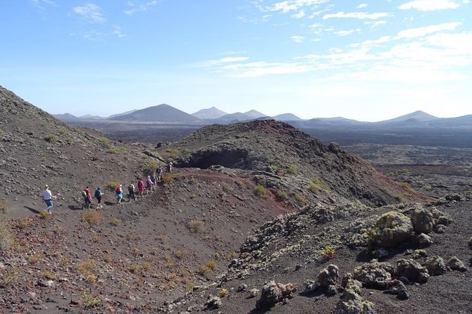 Volcano Trekking Tour (Timanfaya eruptions) - Price and Value: Is $50.81 Worth It?
