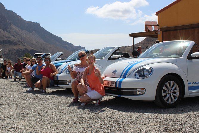 Vw Beetle Convertible Island tour Discover the island on a different way - Finca Canarias Aloe Vera: learning the plant behind the island’s brand