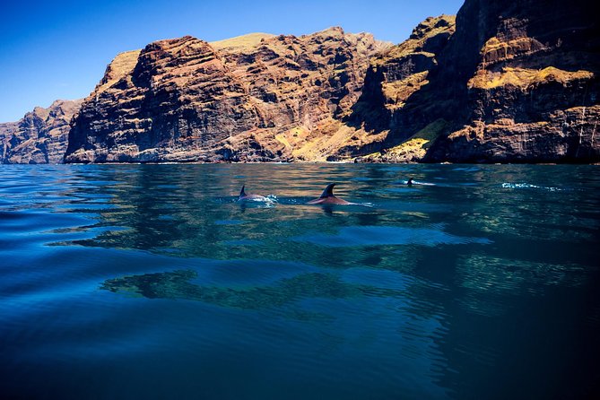 Watching and Listening Whales visiting Los Gigantes&Masca. Food&drinks included - Getting There: Costa Adeje Start, No Pickup