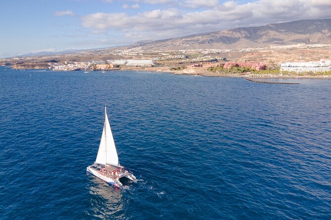 Watching and Listening Whales visiting Los Gigantes&Masca. Food&drinks included - Seating, Comfort, and Those Little On-Deck Details