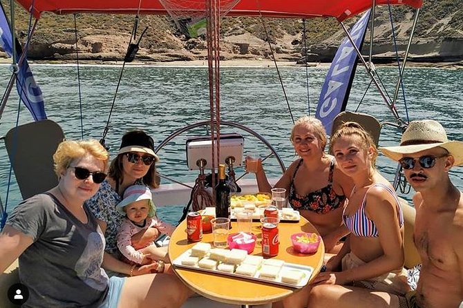 Whale and Dolphin Small Group Sailing from Tenerife South - Key Things That Make This Sailing Feel Worth It