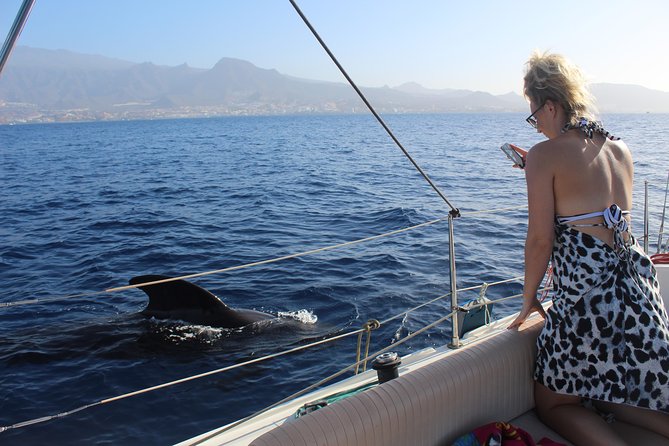 Whale and Dolphin Small Group Sailing from Tenerife South - The Snorkeling Stop: What You Actually Get