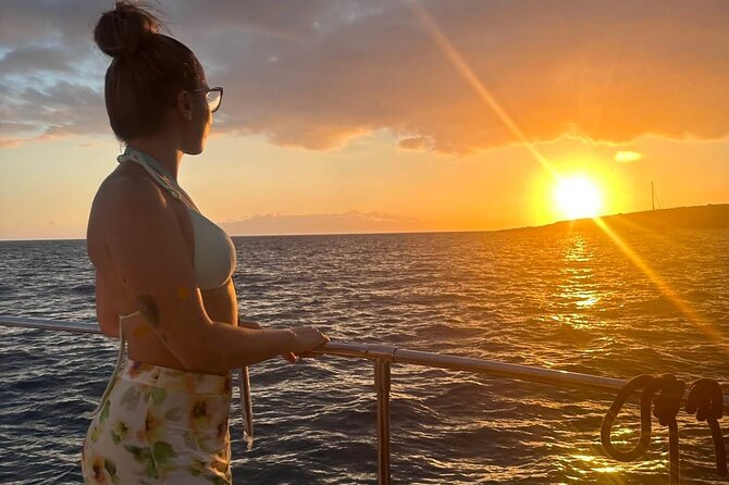 Whale and Dolphin Watching Catamaran with Transfer and Buffet - Swim and snorkeling time: best spots, real conditions