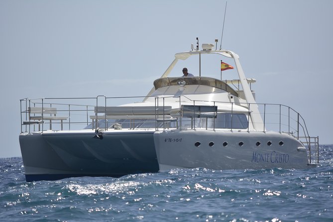Whale and Dolphin Watching Catamaran with Transfer and Buffet - Pilot whales and dolphins: what you might actually see